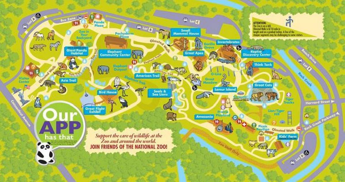 Национальный зоопарк в Вашингтоне карте