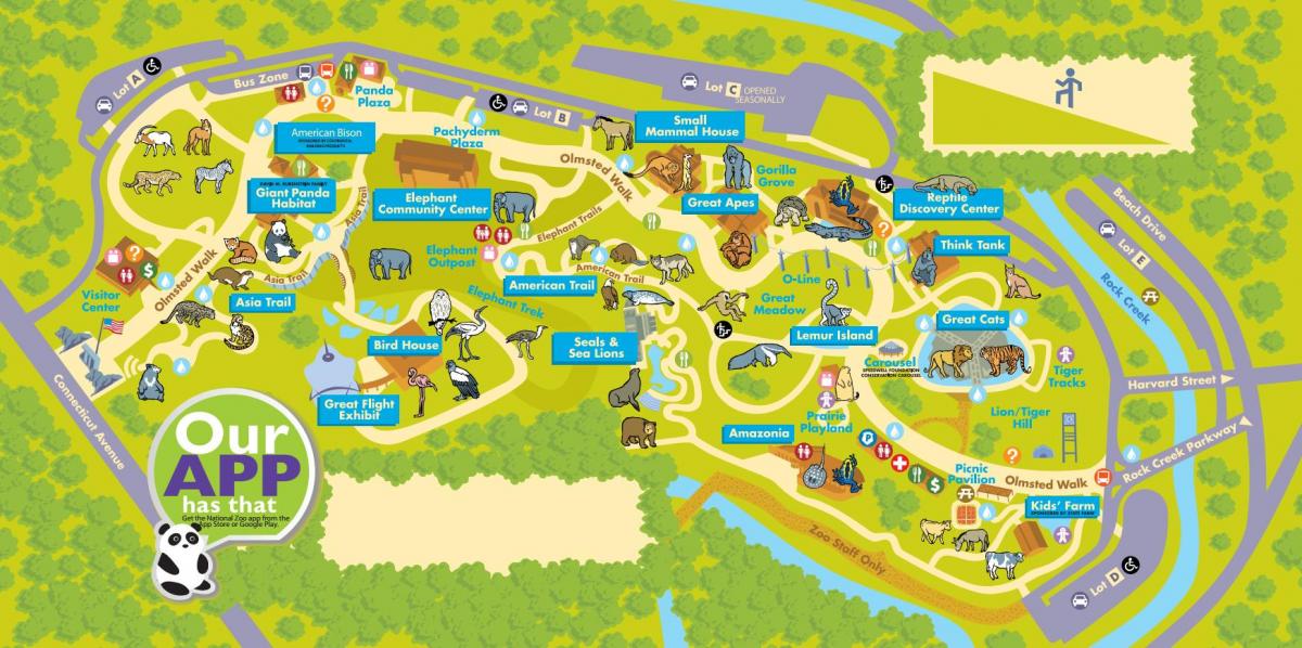 Вашингтон карта зоопарка 